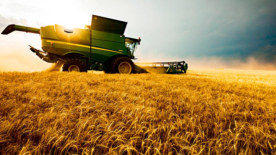 Asesoramiento integral