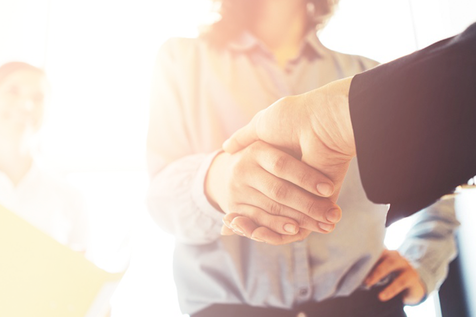 Brindamos soluciones